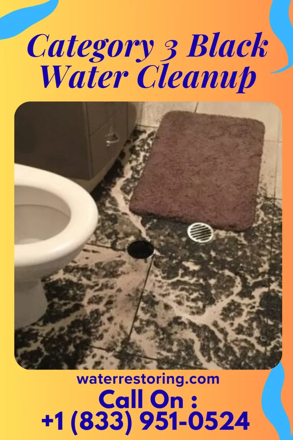 Category 3 Black Water Cleanup in Lakeville, IN