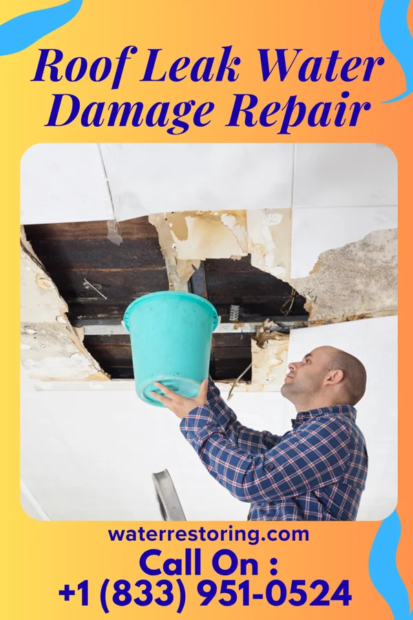 Roof Leak Water Damage Repair in Lakeville, IN
