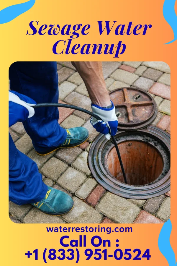 Sewage Water Cleanup in Lakeville, IN